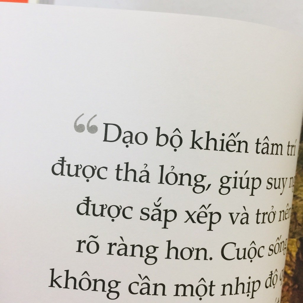 Sách - Triết Lí Sống Khoẻ Của Người Nhật - WABI SABI - IKIGAI - SHINRIN YOKU