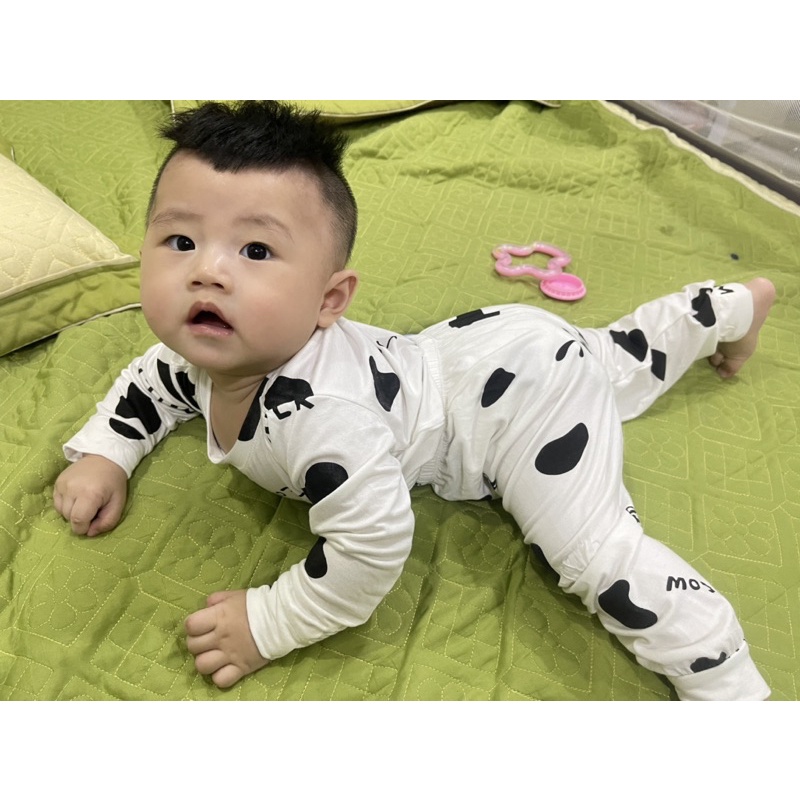 Bộ quần áo dài tay Thu Đông Minky Mom họa tiết bò sữa đồ bộ ở nhà đồ ngủ cho bé trai bé gái từ 9-19kg - Riokids DT5