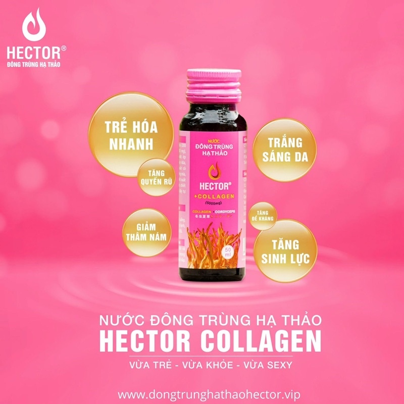 ĐÔNG TRÙNG HẠ THẢO HECTOR COLLAGEN