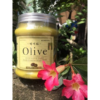 Dầu hấp Olive nắp thiếc