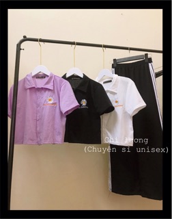 Áo polo crotop hoa cúc
