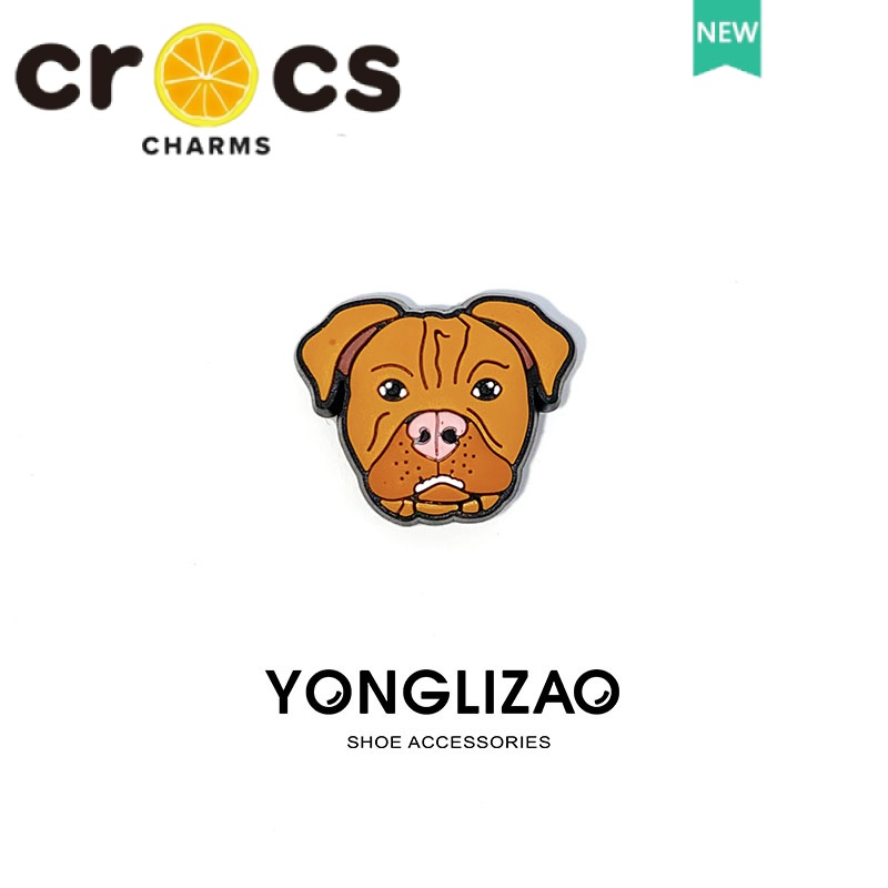 Khóa Cài Giày crocs Họa Tiết Hoạt Hình Dễ Thương Trang Trí DIY