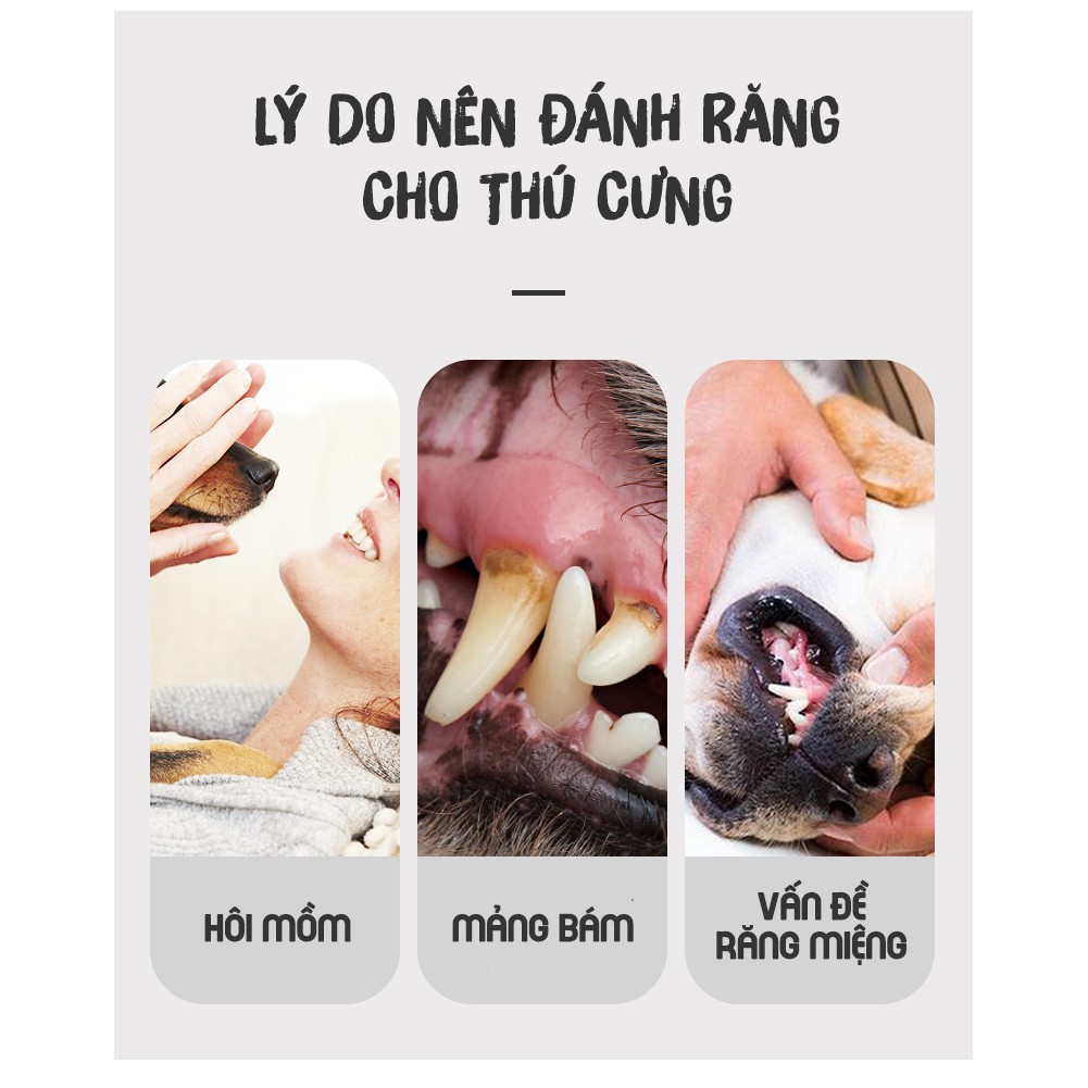 BỘ BÀN CHẢI ĐÁNH RĂNG CHO CHÓ MÈO - HAYUMI