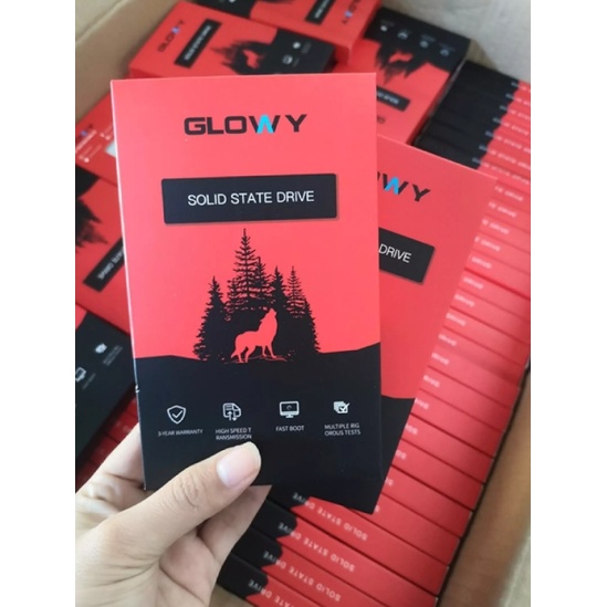 Ổ cứng SSD GLowy 120G - Sản phẩm chính hãng - Bảo hành 3 năm !!! | BigBuy360 - bigbuy360.vn