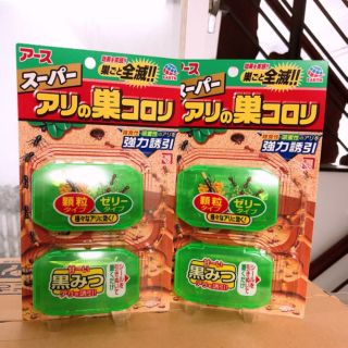 Thuốc diệt kiến Nhật Bản (vỉ 2 hộp)