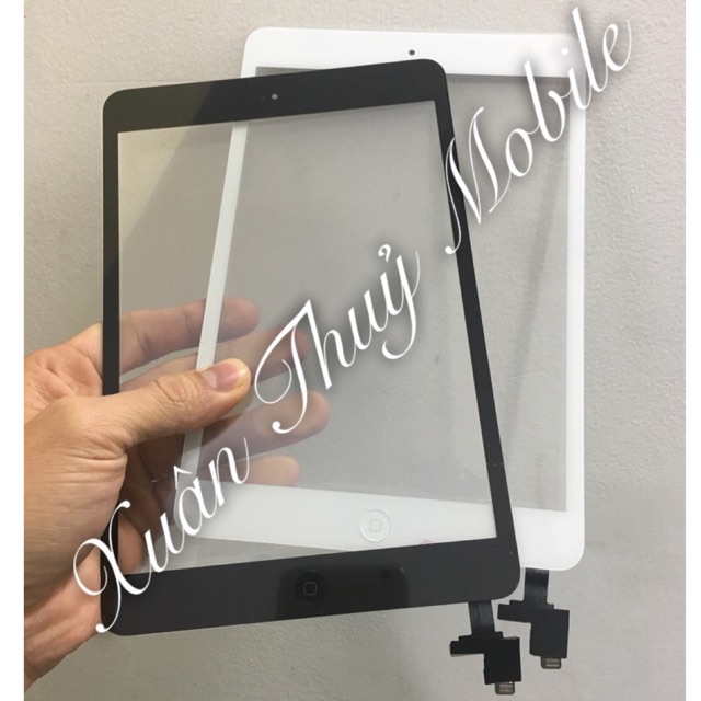 Cảm ứng ipad mini 1 / 2 nguyên cụm ic home