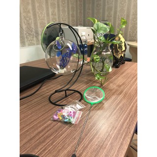 Bể Cá Mini Cung Trăng 16 Cỡ To ( Tặng kèm combo phụ kiện trang trí )