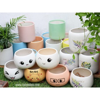 Chậu trồng cây cảnh mini: mẫu sứ tròn nhỏ