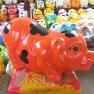 Heo đất đốm dài đủ màu