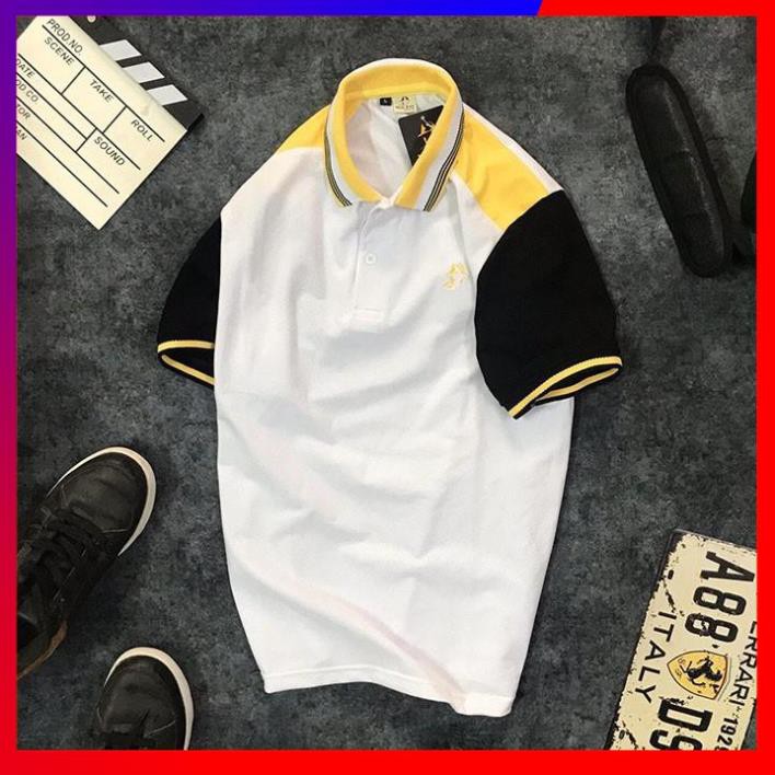 Áo Thun Nam ✴️FREESHIP – HÀNG CHẤT✴️ Cổ Bẻ Tay Ngắn  Phối 3 Màu In Logo, Thun Cá Sấu 65/35 4 Chiều Cao Cấp - HM | BigBuy360 - bigbuy360.vn