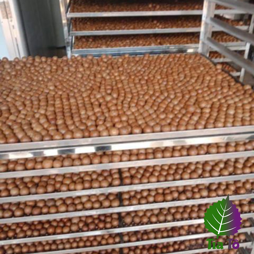 500G Hạt Macca Organic Sạch Đắk Lắk (sấy lạnh theo tiêu chuẩn xuất khẩu) nhà trồng loại 1, hạt mắc ca sấy khô ăn vặt