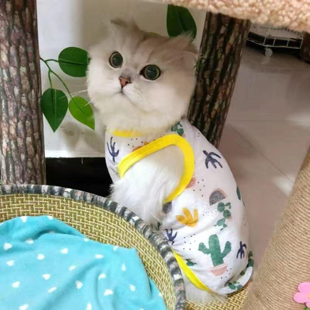 Áo Thun Mùa Hè Thoáng Khí In Họa Tiết Hoạt Hình Cho Thú Cưng