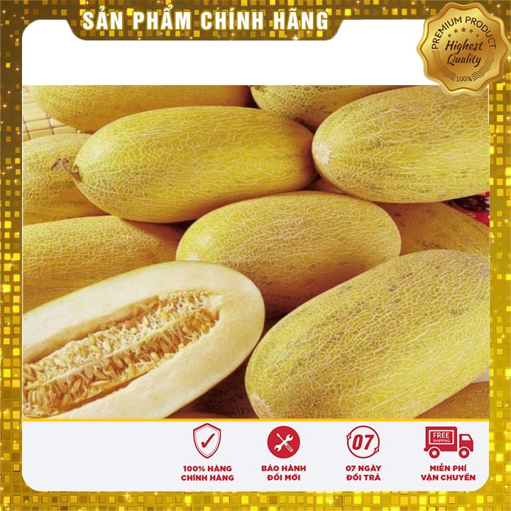 HẠT GIỐNG DƯA LƯỚI VÀNG - 10 HẠT