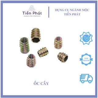 ốc cấy ren ngoài ( 100 con )