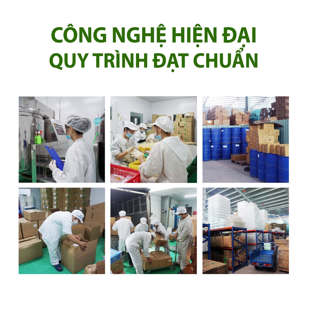 (GIẢM CÂN) Bột Rau Củ Nguyên Chất Hỗ Trợ Giảm Cân, Detox Cơ Thể, Mịn Da Uống Trực Tiếp MODOTOX (Hũ)