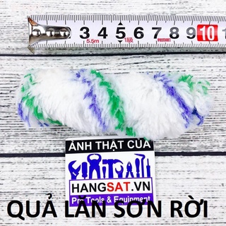lu lăn sơn và quả lắn sơn mini