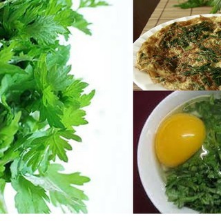 Combo 3 gói hạt giống cây Ngải cứu ( 3 gói 150 hạt )