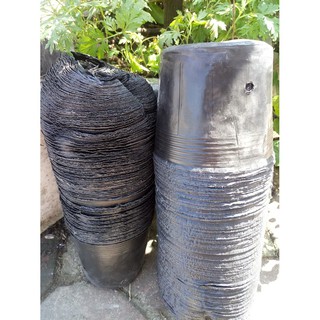 (giá tốt, loại 1) 100 cái bầu ươm nilong cỡ 18x16cm