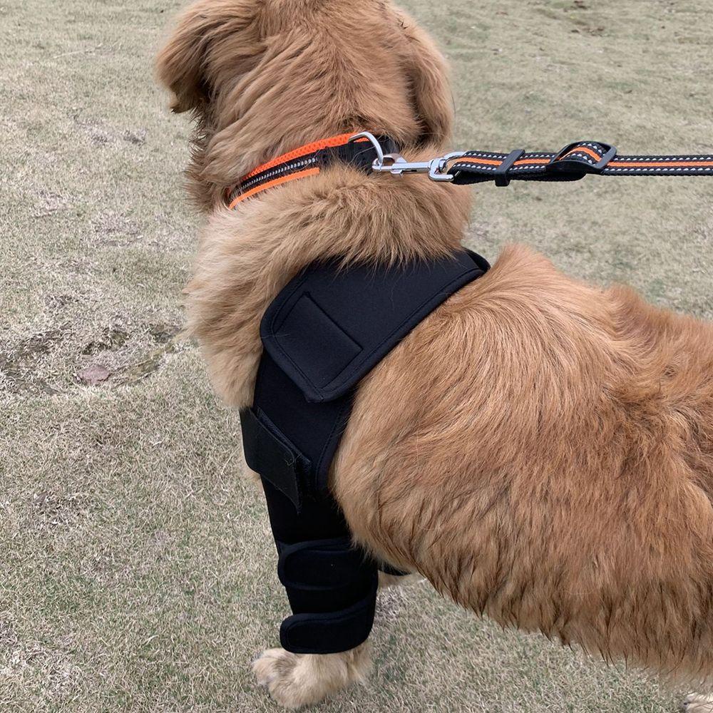 AUGUSTINA Băng Quấn Bảo Vệ Chân Trọng Lượng Nhẹ Thoáng Khí Dành Cho Chó Cỡ Nhỏ / Lớn