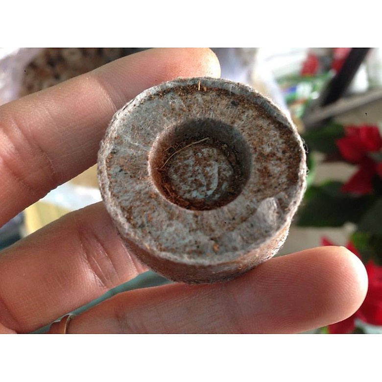 Com bo 10 viên, 20 viên, 50 viên nén mụn dừa ươm cây