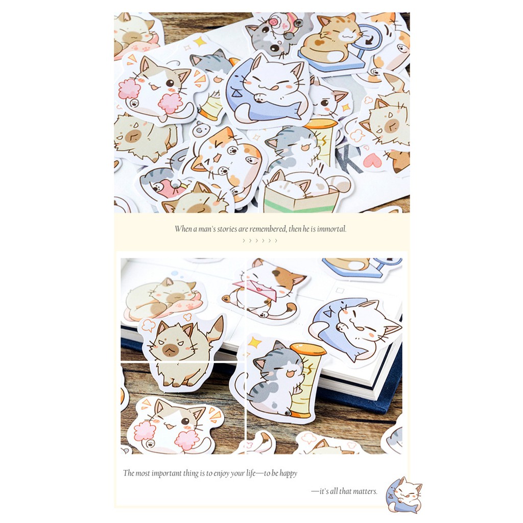 Sticker chủ đề Mèo Mập - Hộp 45 miếng dán trang trí sổ tay Bullet Journal - M057