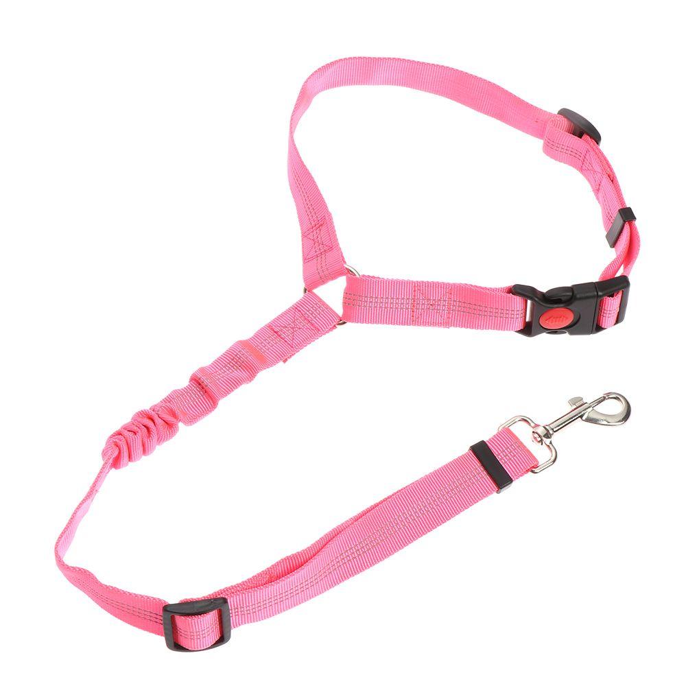 Dây ThắT An ToàN TùY ChỉNh Cho Thú Cưng