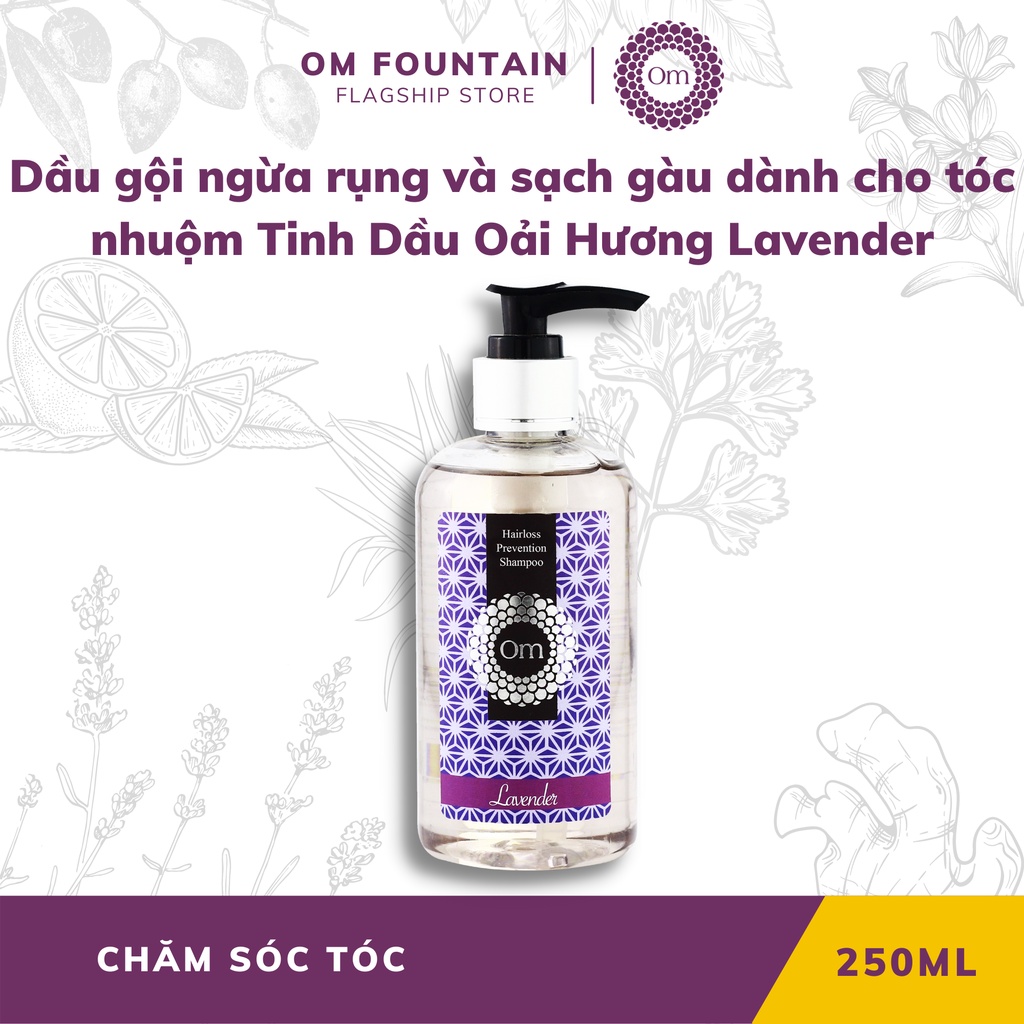 Dầu gội ngừa rụng và sạch gàu dành cho tóc nhuộm Tinh Dầu Oải Hương Lavender 250ml - Om Fountain