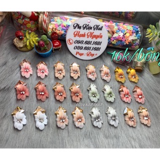 Hoa Bột : Hoa Ngũ Sắc trang trí móng nail 16.000/1 bông. Set 2 bông=32.000