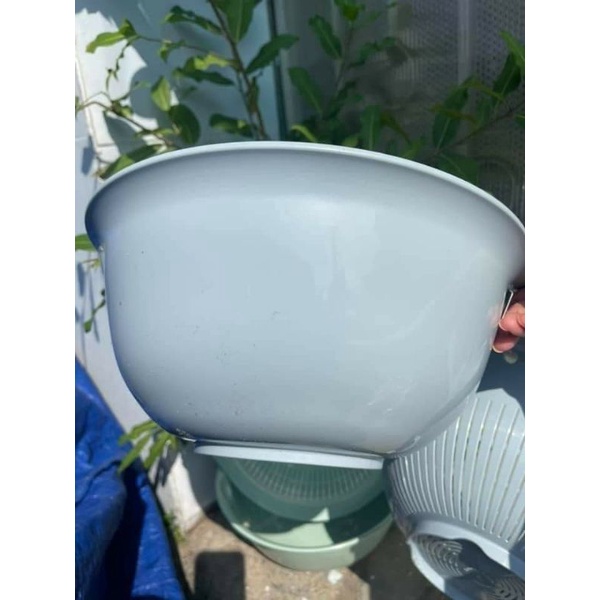 Combo 4 món Thau rổ Inochi Size lớn 30cm