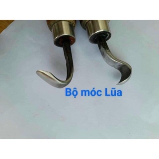 dụng cụ móc lũa tạo nghệ thuật cho cây