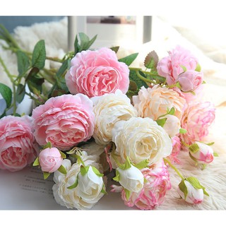 HOA MẪU ĐƠN CÀNH LỚN, HOA TRANG TRÍ, HOA ĐẸP CẮM TẾT