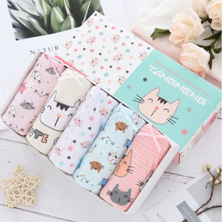 Set 5 quần xì trẻ em Hàn Quốc 100% vải cotton thoáng mát, an toàn cho sức khỏe mẫu Mèo Con TangMeng dành cho bé gái