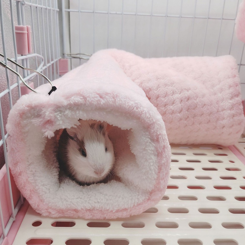 Bộ 3 Món Võng + Đường Hầm + Đệm Lót Ẩn Cho Chuột Hamster Vào Mùa Đông