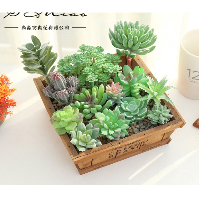 Cây sen đá giả giống thật có nhiều mẫu trang trí mang lại không gian thư giãn cho ngôi nhà của bạn