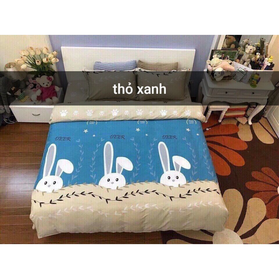 Bộ ga + 2 vỏ gối poly cotton
