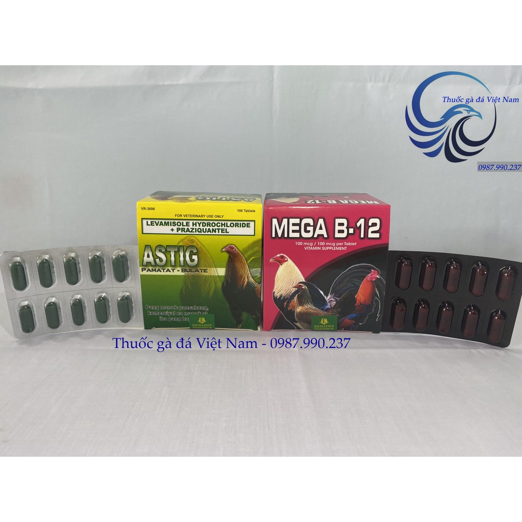 Combo 01 hộp MEGA B12 + 01 hộp ASTIG cho gà đá