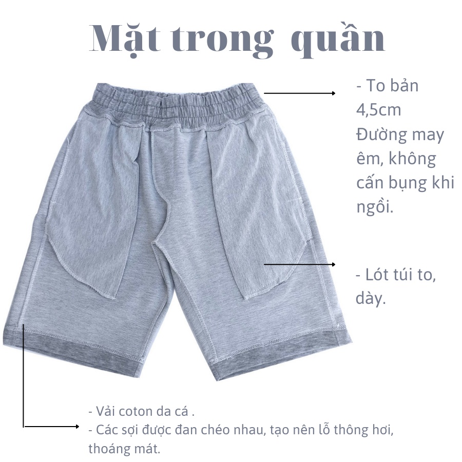 Quần đùi nam,quần thun nam phong cách Hàn Quốc,short nam coton co dãn - QDHT101 | BigBuy360 - bigbuy360.vn