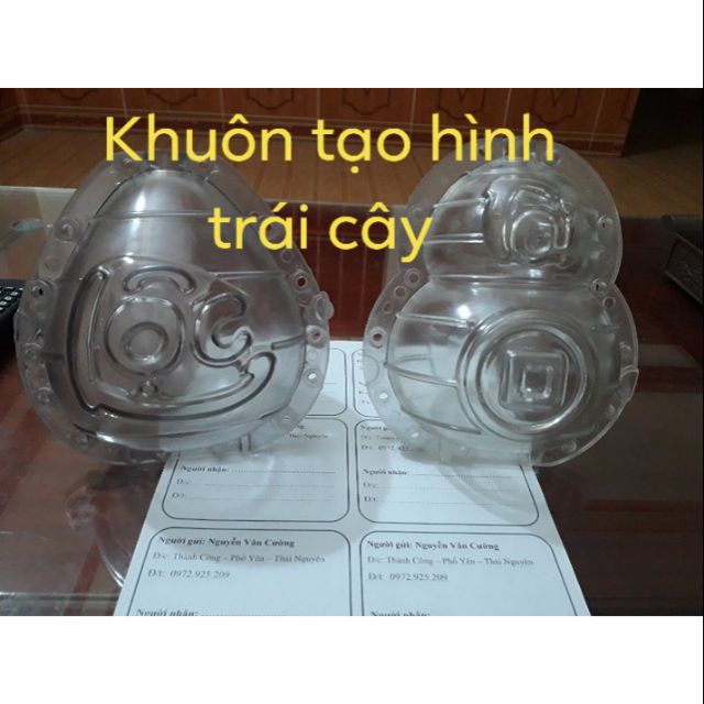 Khuôn tạo hình trái cây