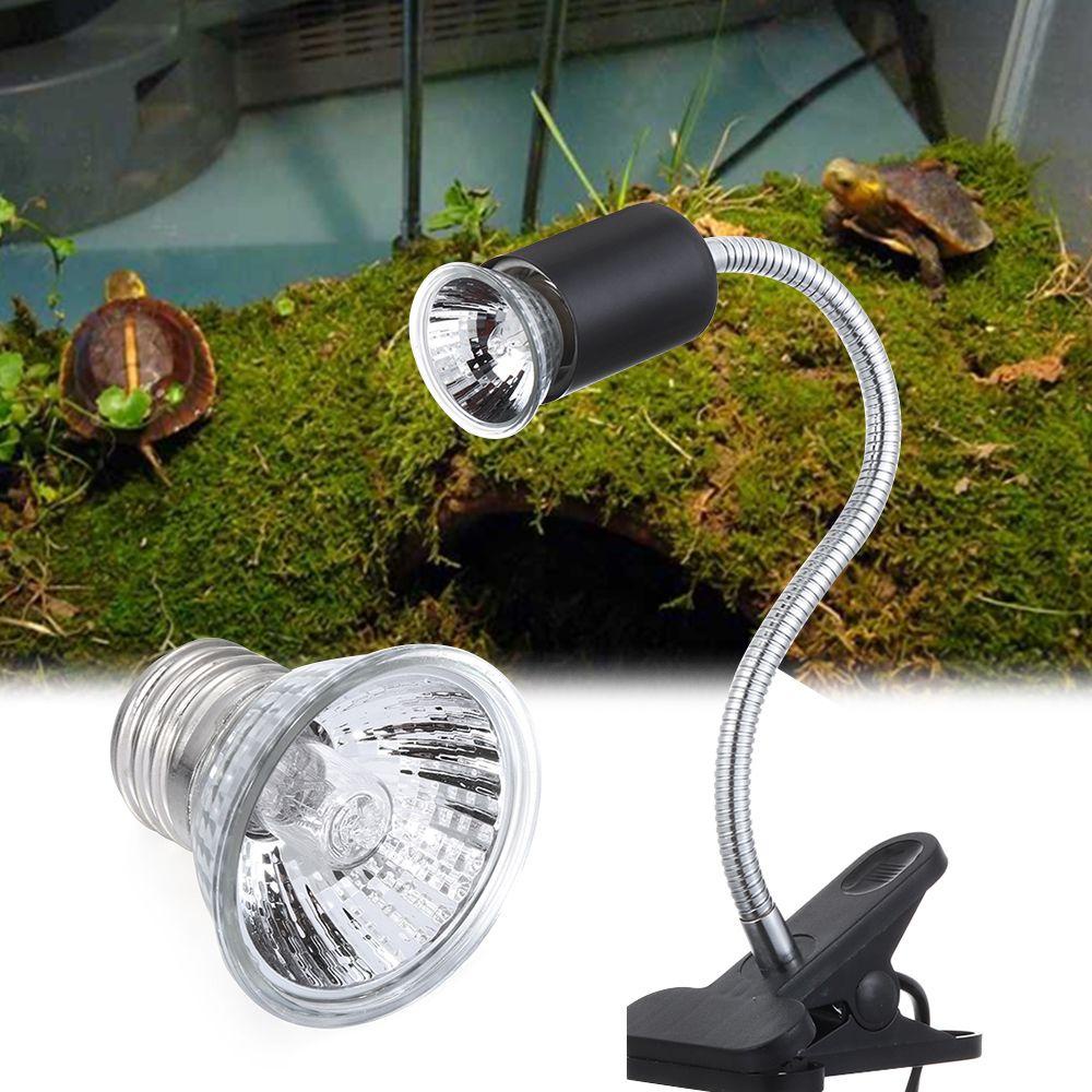 Giá Đỡ Bóng Đèn Sưởi Ấm Tia UV Cho Bò Sát