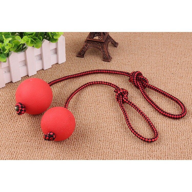 Bóng Huấn Luyện Thú Cưng