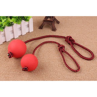 Bóng Huấn Luyện Thú Cưng