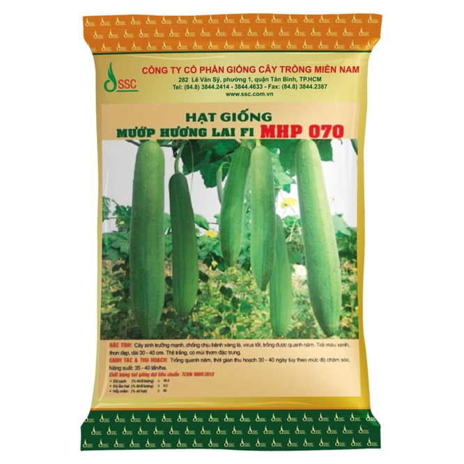 Hạt Giống Mướp Hương lai F1 MHP 070 SSC Miền Nam (Gói 1G)