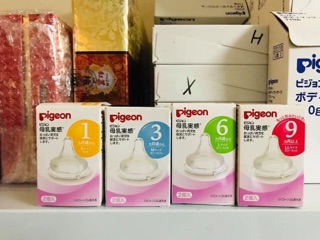 Núm ti Pegeon nội địa nhật bản