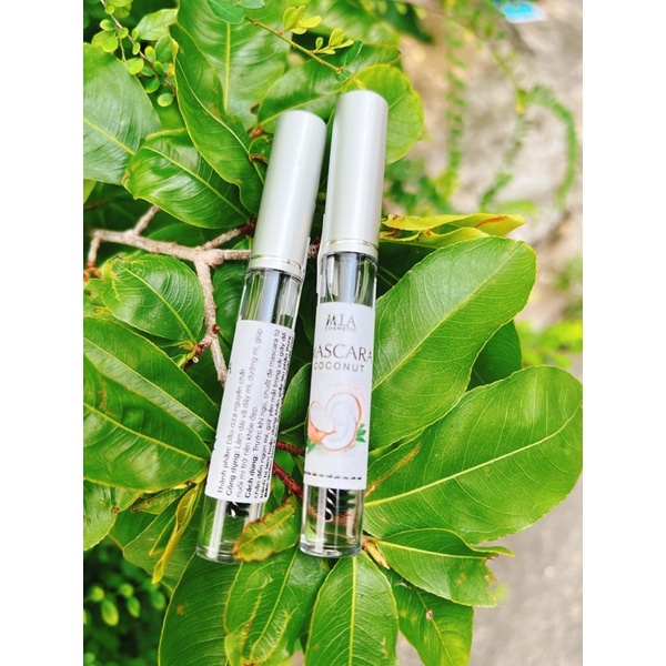 Mascara Chuốt Mi Giữ Ẩm, Dài Và Dày Mi Từ Dầu Dừa Nguyên Chất
