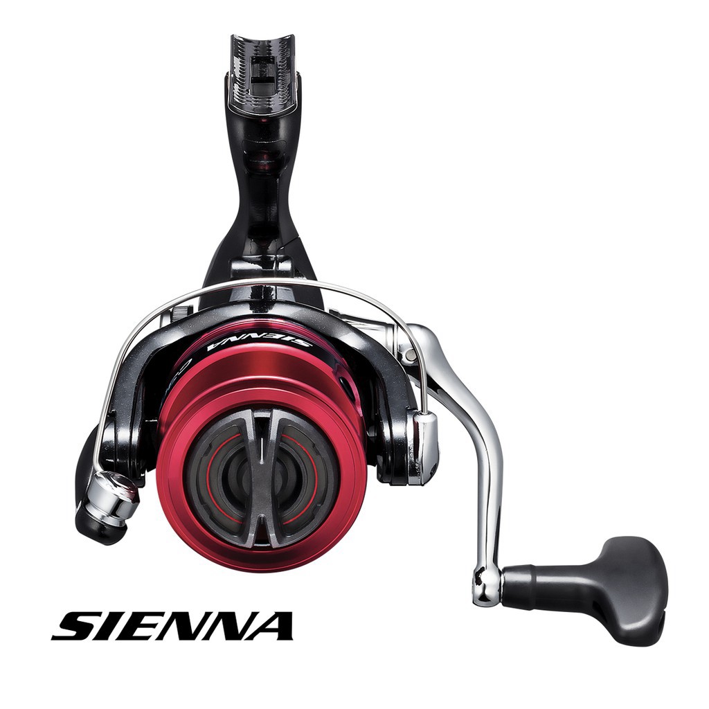 Máy Câu Shimano Sienna Phiên Bản Mới 2019 - ĐỒ CÂU ĐINH THẮNG