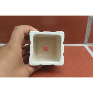 Chậu trồng sen đá mini
