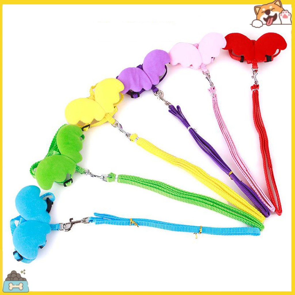 Dây Dắt Chó Hình Đôi Cánh Thiên Thần Dễ Thương