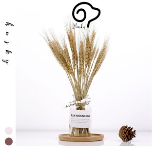 Lọ Hoa Thủy Tinh Trang Trí Phòng Ngủ, Bình Hoa Nhỏ Nhắn Trang Trí Hoa Khô, Hoa Giả