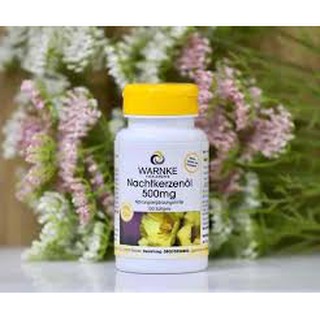 Viên Uống Tinh dầu hoa anh thảo NACHTKERZENOL 500mg- hàng xách tay Đức 100 viên/ hộp
