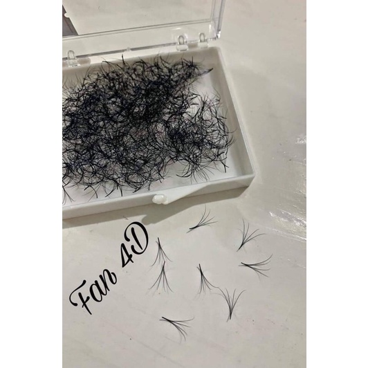 Mi Fan 4D cong C CC D độ dài từ 8 đến 16 hộp 1000Fan